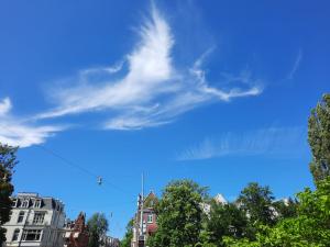 Jacquelien 01 Pijlstaartrog